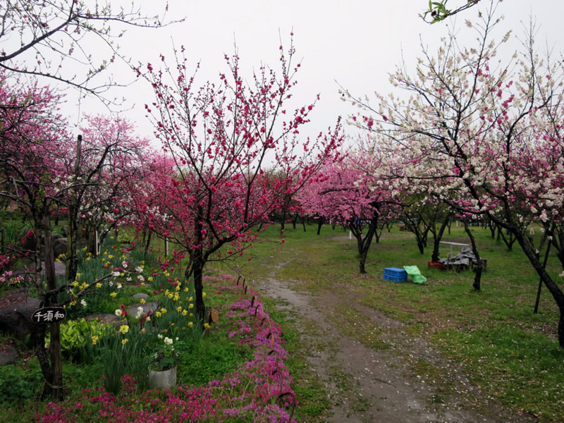 f:id:banban:20150426174828j:plain