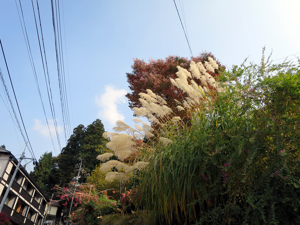 f:id:banban:20151105212059j:plain