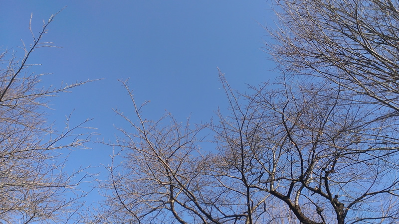 f:id:banban:20151211130731j:plain