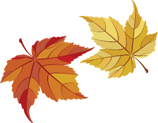 f:id:banbanji:20191022142447p:plain