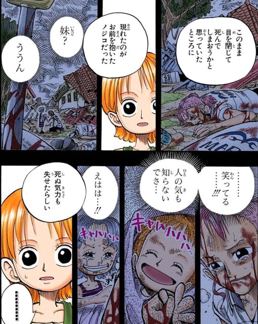 アンはやっぱりナミだった シャンクスの娘説 Onepiece考察 ストレス社会にonepieceを