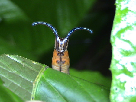 f:id:banbiyan:20050702071405j:image