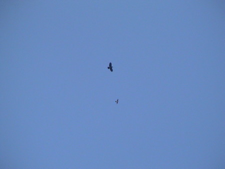 f:id:banbiyan:20060225094241j:image