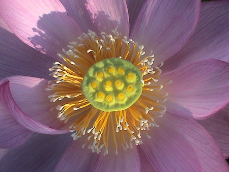 f:id:banbiyan:20060715062637j:image