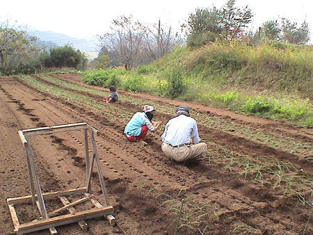 f:id:banbiyan:20061104112227j:image f:id:banbiyan:20061104112227j:image