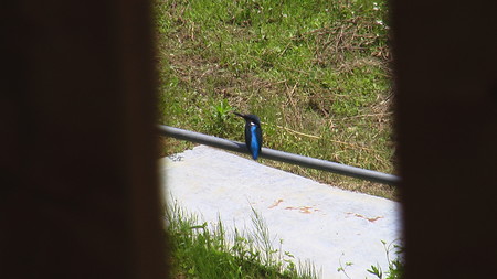 f:id:banbiyan:20070604105414j:image