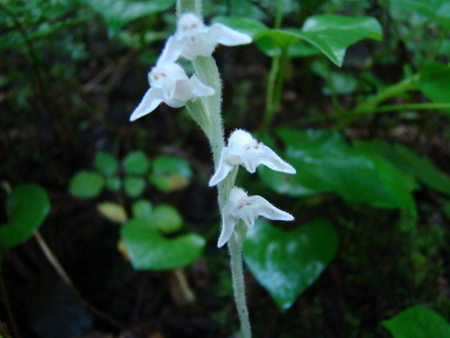 f:id:banbiyan:20070806071908j:image f:id:banbiyan:20070806071908j:image