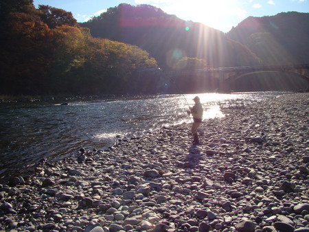 f:id:banbiyan:20071119082739j:image f:id:banbiyan:20071119082739j:image