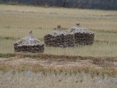 f:id:banbiyan:20071128074312j:image
