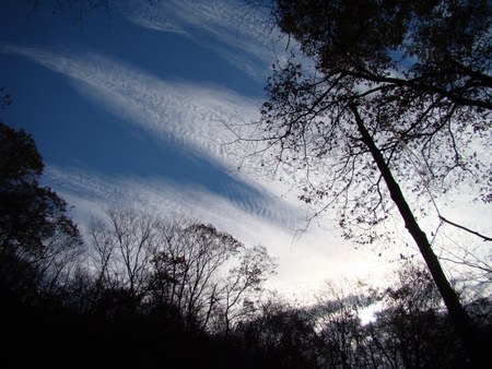 f:id:banbiyan:20071128102055j:image:right
