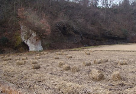 f:id:banbiyan:20071222074719j:image