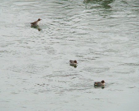 f:id:banbiyan:20080120145811j:image f:id:banbiyan:20080120145811j:image