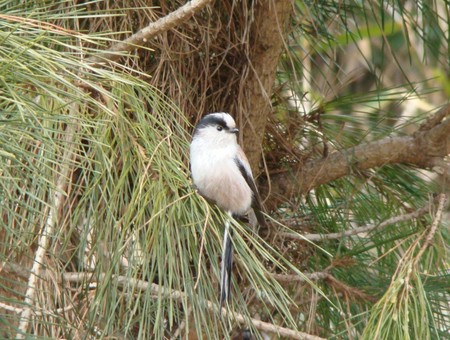 f:id:banbiyan:20080209103542j:image f:id:banbiyan:20080209103542j:image