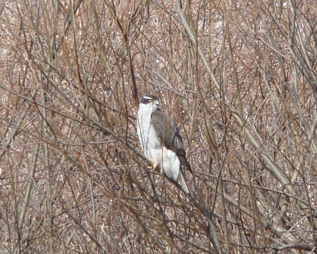 f:id:banbiyan:20080210123831j:image f:id:banbiyan:20080210123831j:image