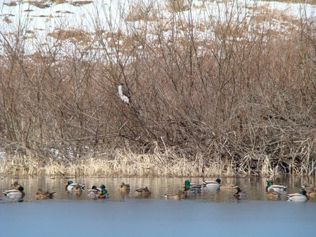 f:id:banbiyan:20080210124015j:image f:id:banbiyan:20080210124015j:image