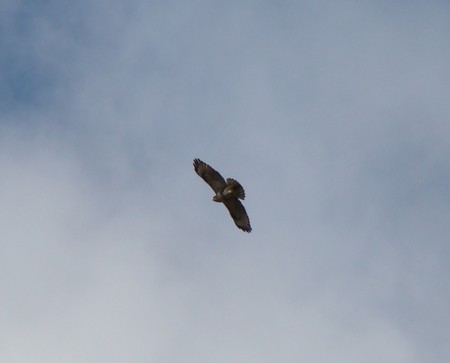 f:id:banbiyan:20080214101912j:image f:id:banbiyan:20080214101912j:image