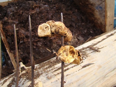 f:id:banbiyan:20080224160900j:image f:id:banbiyan:20080224160900j:image