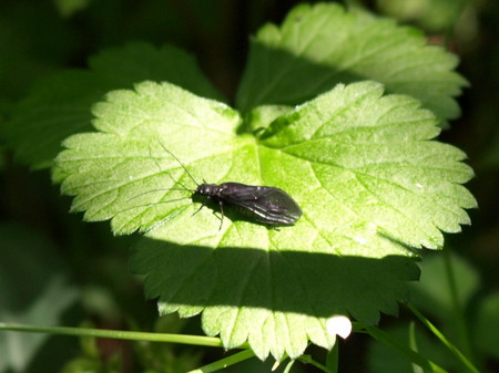 f:id:banbiyan:20080430092844j:image