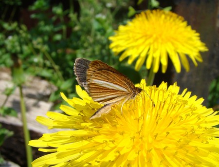 f:id:banbiyan:20080504121317j:image f:id:banbiyan:20080504121317j:image