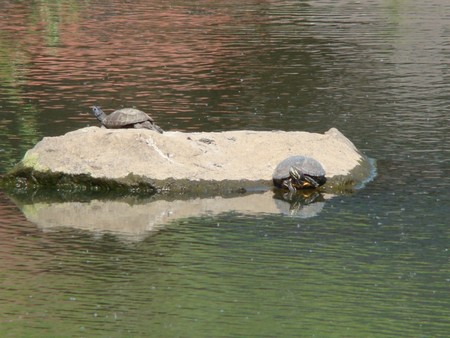 f:id:banbiyan:20080515145619j:image f:id:banbiyan:20080515145619j:image