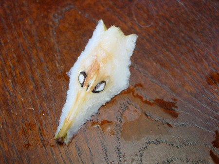 f:id:banbiyan:20080827123301j:image f:id:banbiyan:20080827123301j:image