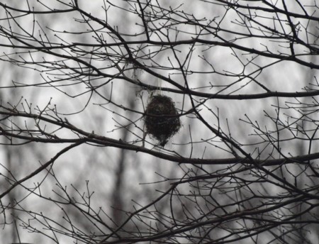 f:id:banbiyan:20090226095145j:image