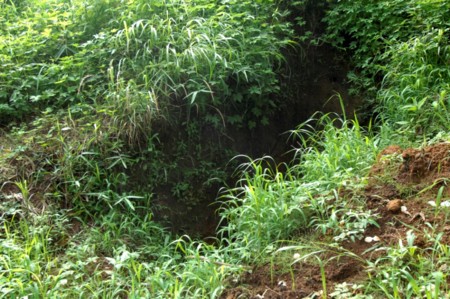f:id:banbiyan:20090706153016j:image