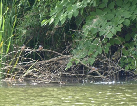 f:id:banbiyan:20090711101056j:image