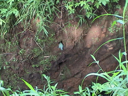 f:id:banbiyan:20090720061134j:image