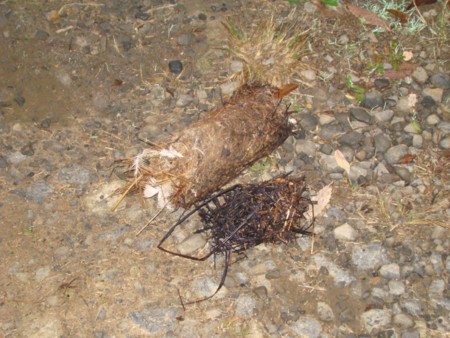 f:id:banbiyan:20091030060016j:image