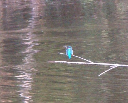 f:id:banbiyan:20091104160652j:image