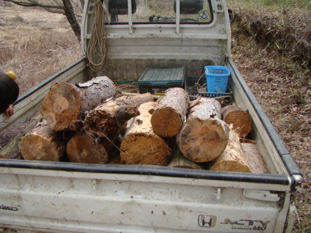 f:id:banbiyan:20100313134430j:image f:id:banbiyan:20100313134430j:image