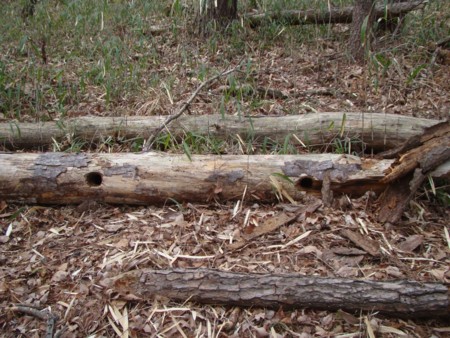 f:id:banbiyan:20100313134710j:image f:id:banbiyan:20100313134710j:image