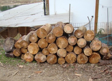 f:id:banbiyan:20100313140501j:image f:id:banbiyan:20100313140501j:image