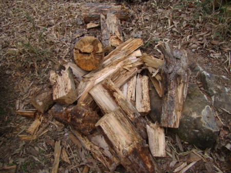 f:id:banbiyan:20100313140527j:image f:id:banbiyan:20100313140527j:image