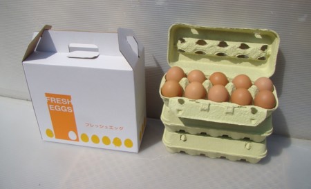 f:id:banbiyan:20100501135557j:image