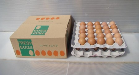 f:id:banbiyan:20100501140429j:image