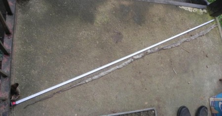 f:id:banbiyan:20110917062107j:image