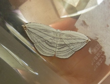 f:id:banbiyan:20130819042626j:image f:id:banbiyan:20130819042626j:image