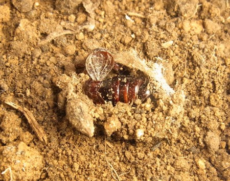 f:id:banbiyan:20130909182754j:image f:id:banbiyan:20130909182754j:image