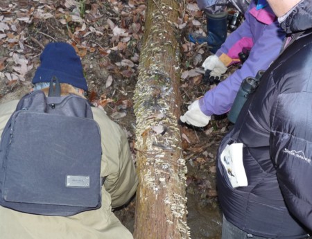 f:id:banbiyan:20131228114857j:image