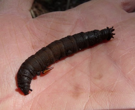 f:id:banbiyan:20140419133808j:image f:id:banbiyan:20140419133808j:image