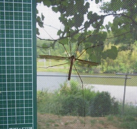 f:id:banbiyan:20140602150746j:image f:id:banbiyan:20140602150746j:image