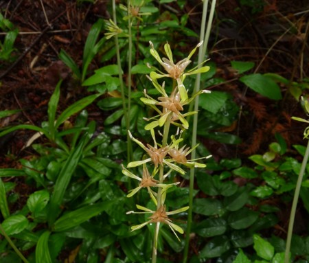 f:id:banbiyan:20140606090000j:image f:id:banbiyan:20140606090000j:image