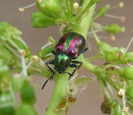 f:id:banbiyan:20140606101721j:image f:id:banbiyan:20140606101721j:image