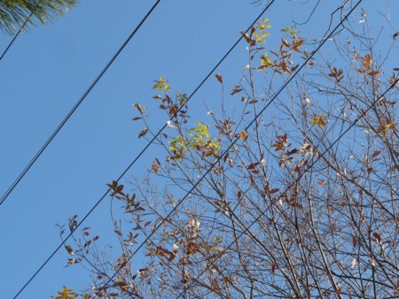 f:id:banbiyan:20141227091542j:image f:id:banbiyan:20141227091542j:image