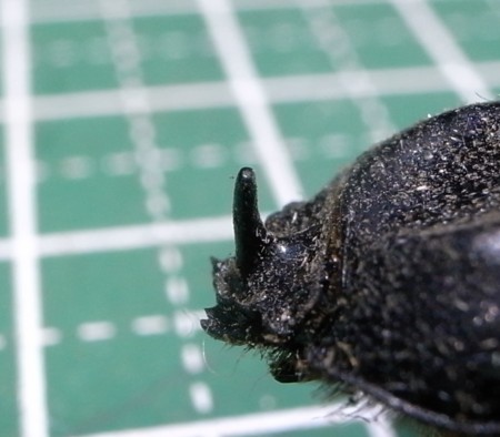 f:id:banbiyan:20150619094931j:image