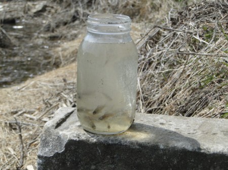 f:id:banbiyan:20160401230735j:image f:id:banbiyan:20160401230735j:image