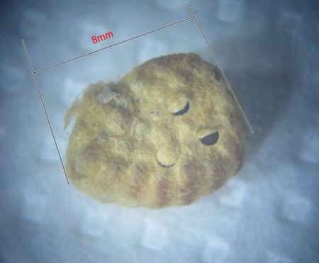 f:id:banbiyan:20160913074832j:image f:id:banbiyan:20160913074832j:image