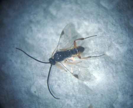 f:id:banbiyan:20160913195122j:image f:id:banbiyan:20160913195122j:image